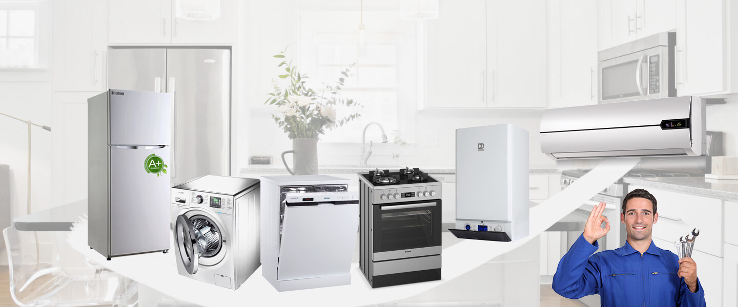 Bismil Dominox Servisi